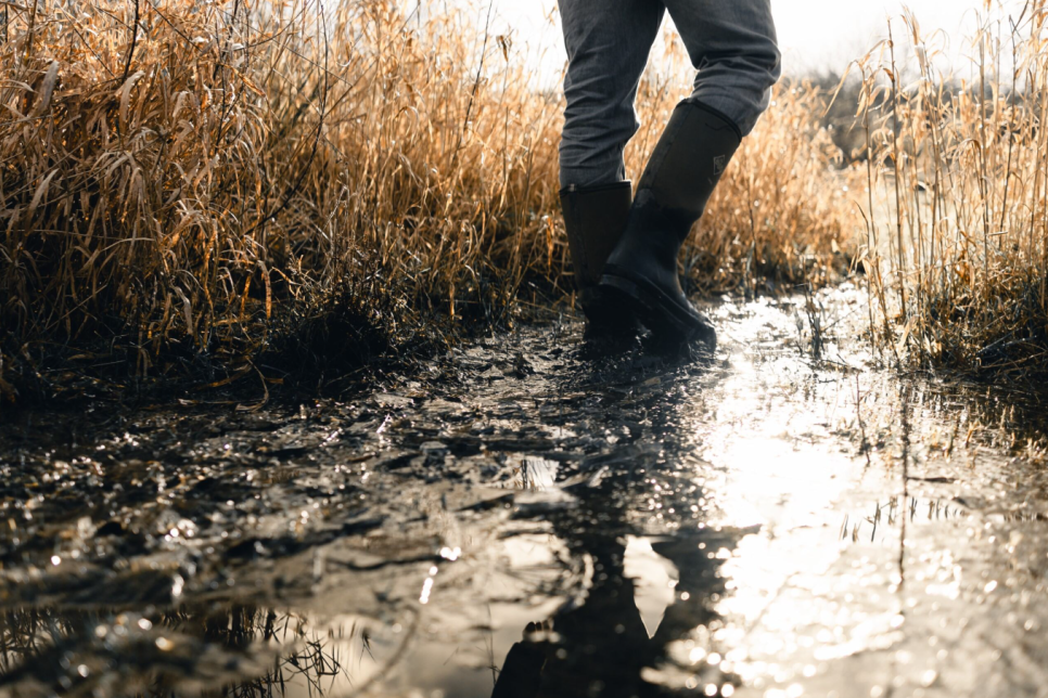 Get Lost This World Wetlands Day